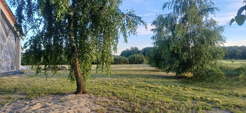 Dom parterowy z duza działka 2114m2