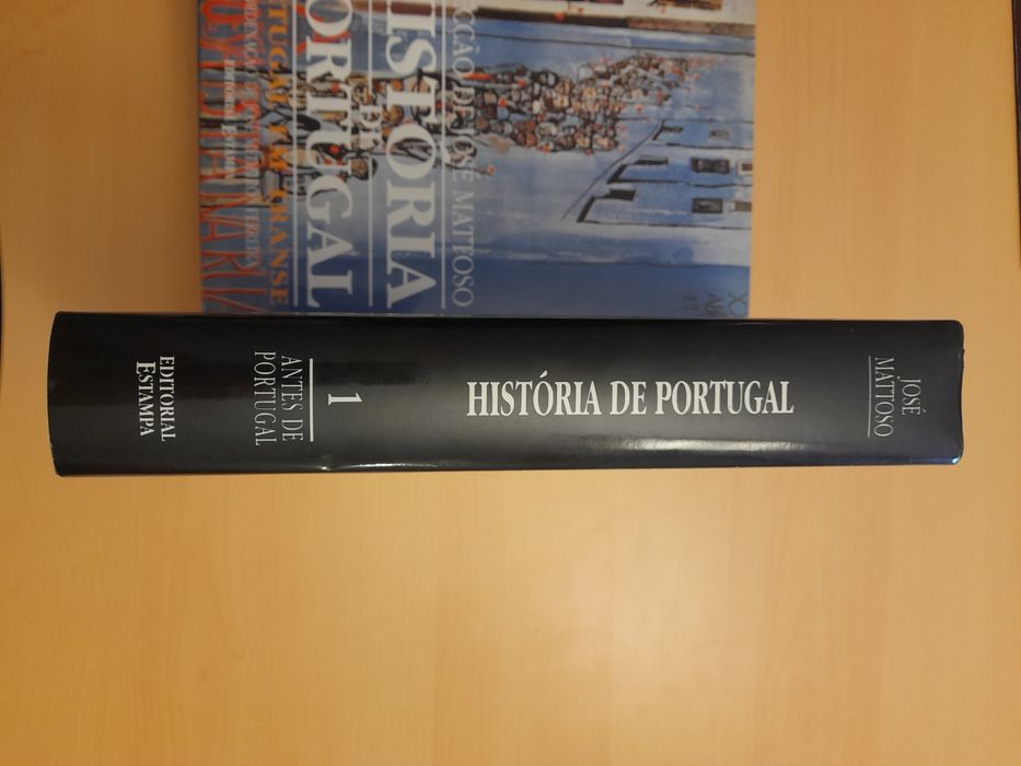 História de Portugal, José Mattoso - vol. 1