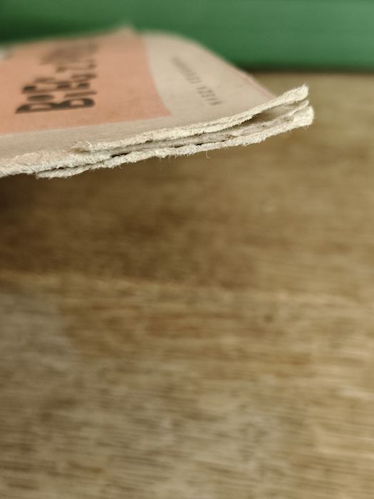 Książka dla dzieci Bieg z przeszkodami⁶⁹