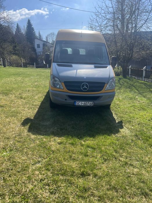 Mercedes-benz sprinter 313 cdi