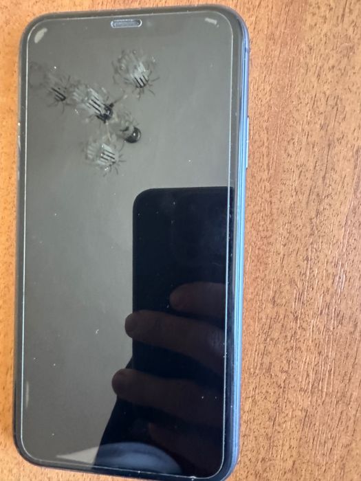 iPhone 11 256  GB