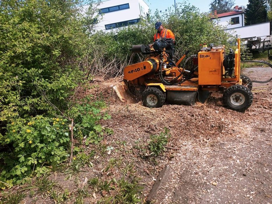 Frezowanie pni usuwanie karp