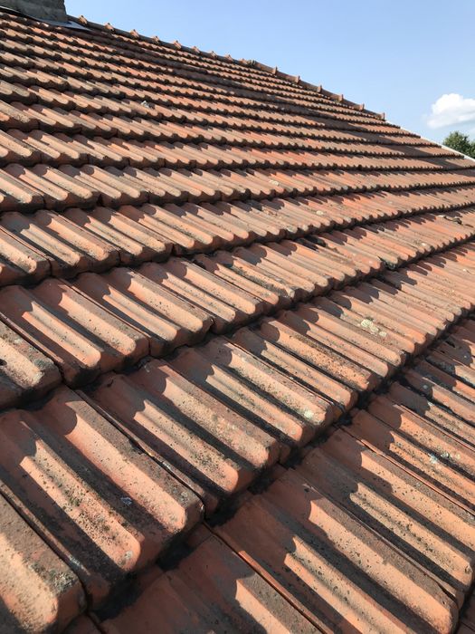 Продам б/у дахівку, і  гусаки 43штуки.Дахівки  орієнтовно 1500штук.