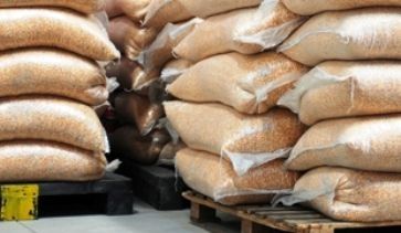 Milho miúdo para criação de animais