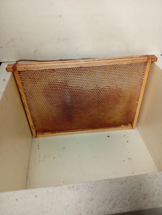 Ramki wielkopolskie z suszem, ule , sprzęt pszczelarski.