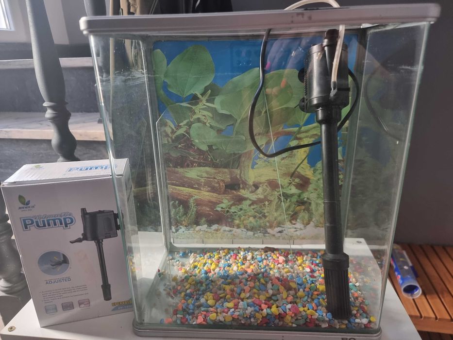 Aquário retangular de vidro com bomba