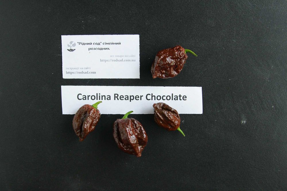 Перець гострий насіння (24 сорти) семена суперхотов острый гіркий