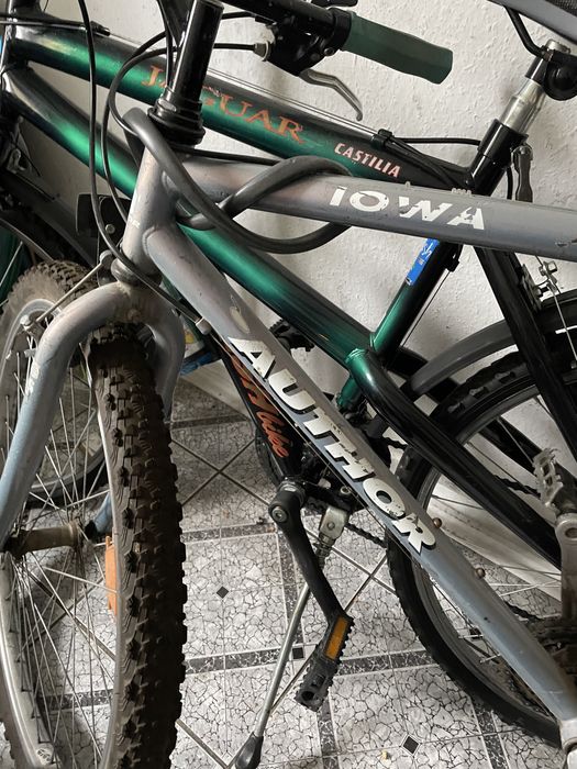 Rower author polecam