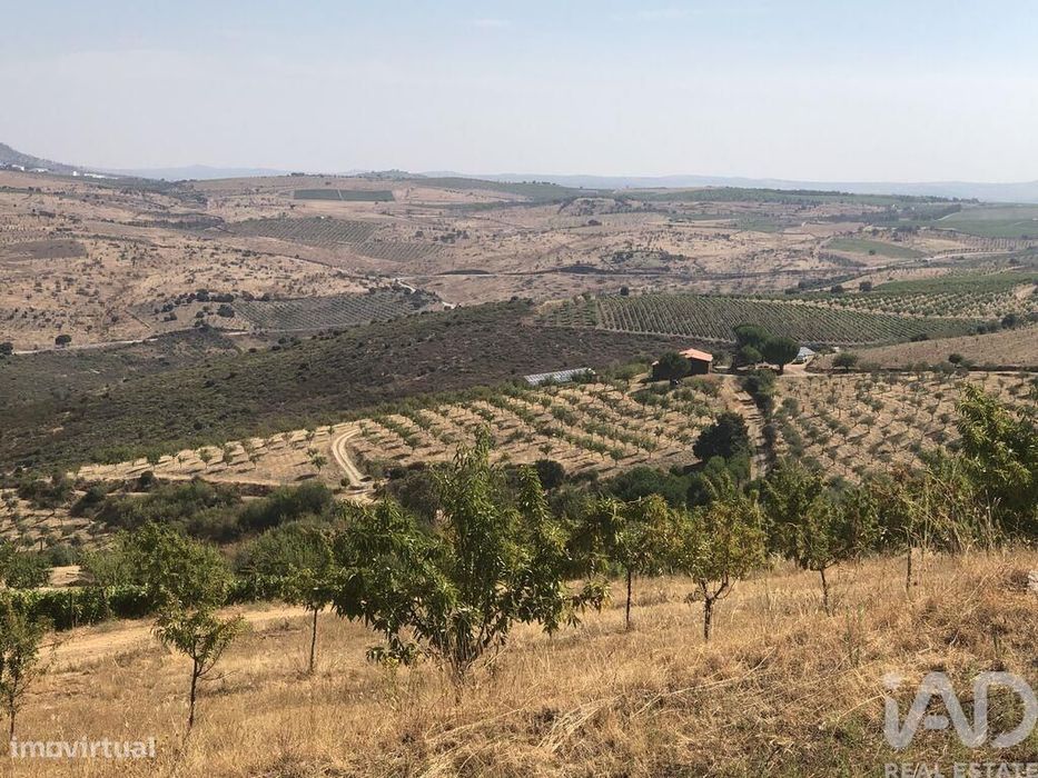 Agricultural Land in Poiares