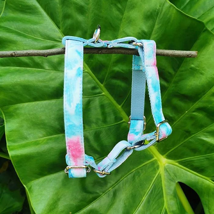 Peitoral arco-iris + trela conjunto