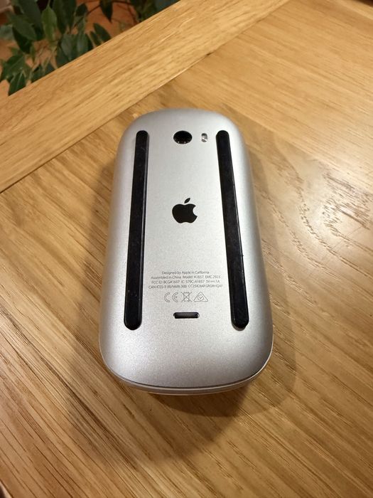 Apple Magic Mouse lightning