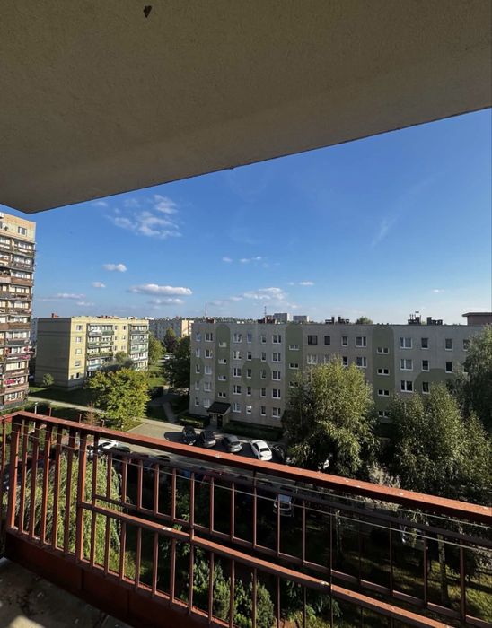 Zdjęcie 8