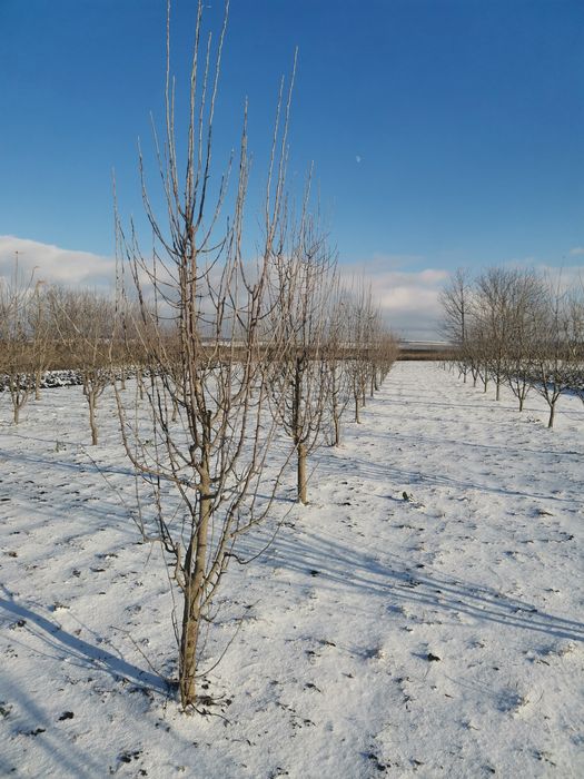 Продам земельну ділянку