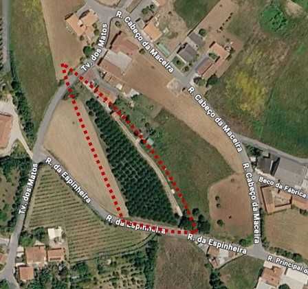Terreno Urbano 3.485m2 - Matos, Alcobaça