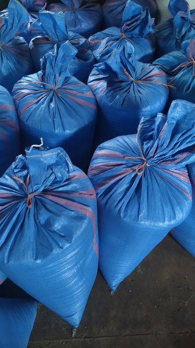 Pszenica jara Telimena 2025