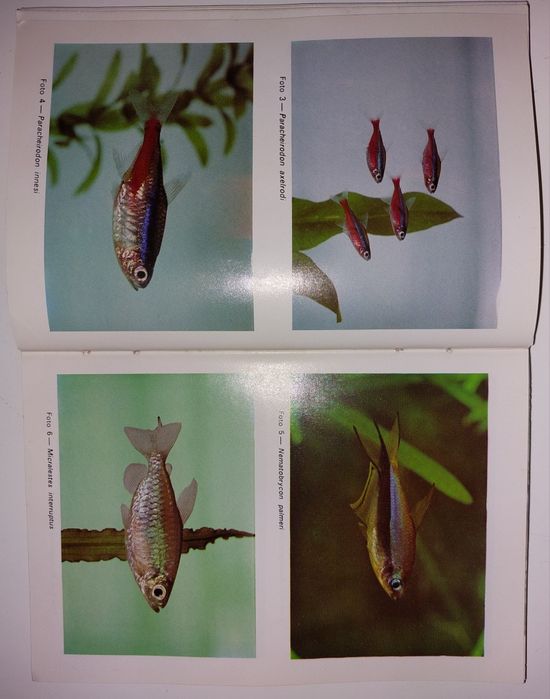 Livro "O Aquário de Água Doce" de Paulo de Oliveira