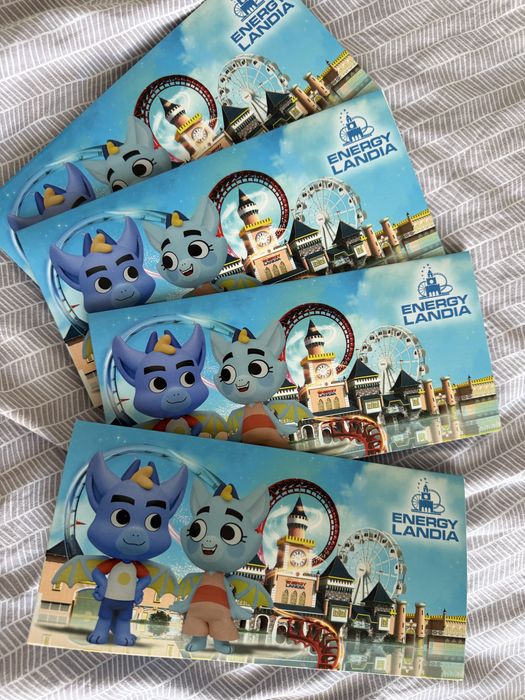 Zestaw 4 bilety do Energylandia