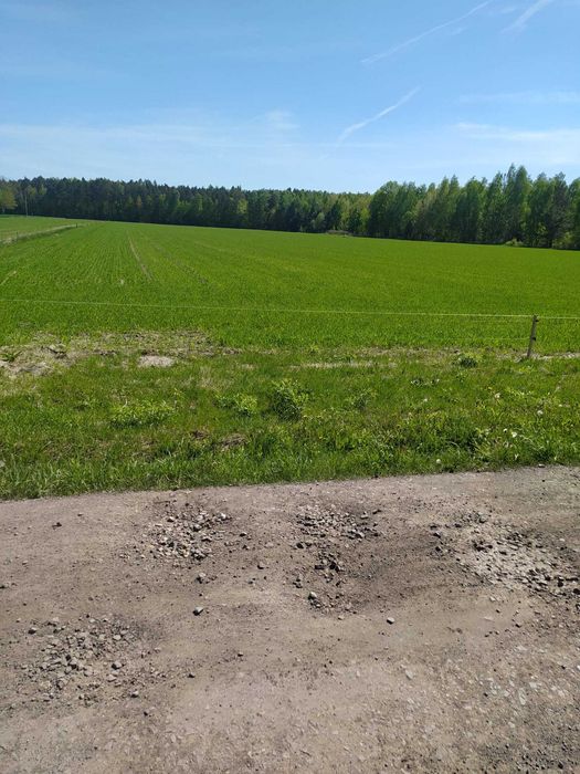 3,616 ha – Lubowidza – przy lesie! Świetna inwestycja! podział możliwy