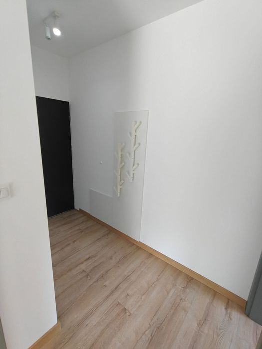 Zdjęcie 5