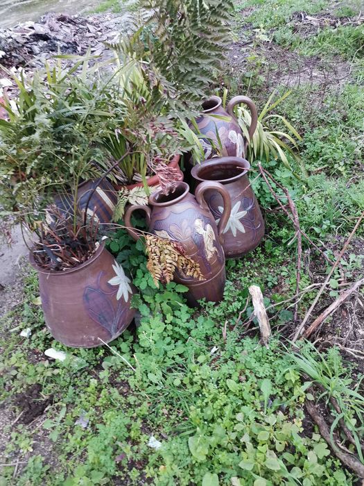 Vendo vasos como novos