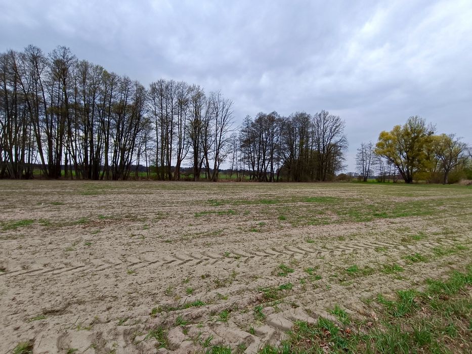 Działka budowlana 3275 m² | blisko Warty | strumyk | Mierzyn - Ansicht 6