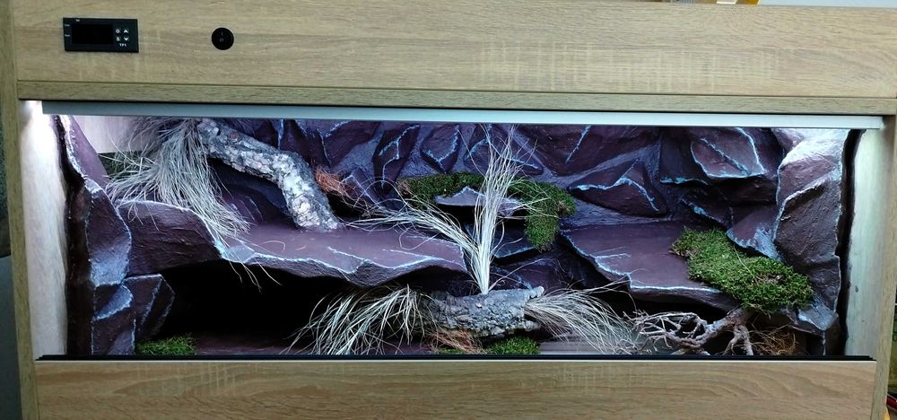 Terrarium dla pytona królewskiego 100x50x50 ( Exotic Leszno )