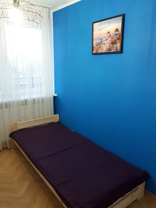 Zdjęcie 5