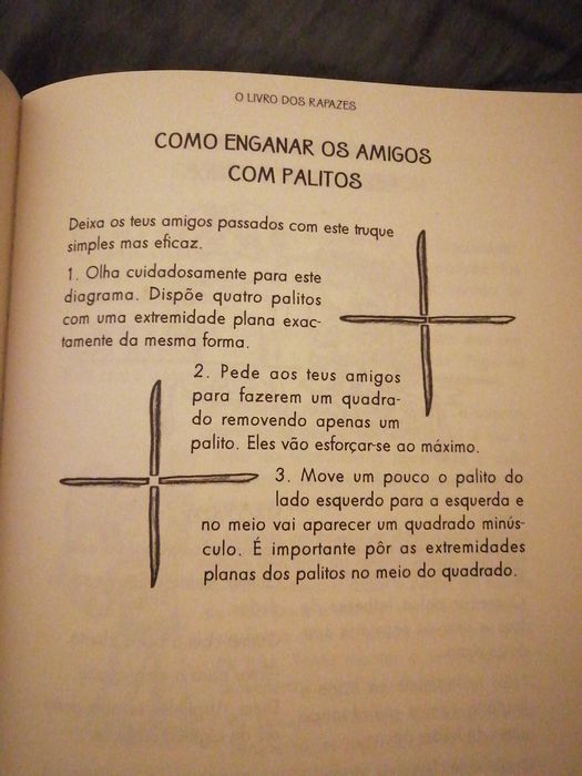 O livro dos Rapazes   Como ser o melhor em tudo
