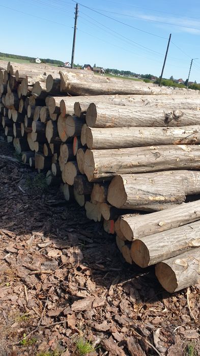 Drewno stosowe: grab,akacja,jesion S2a