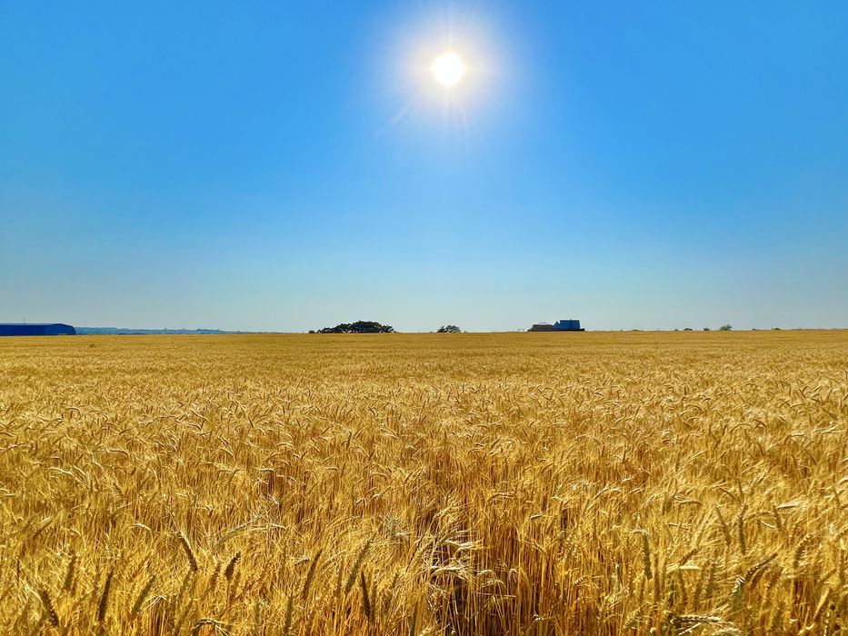 Продаю участок новая нарезка Малодолинское