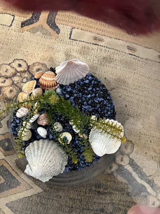 Aquário em Vidro com Decoração