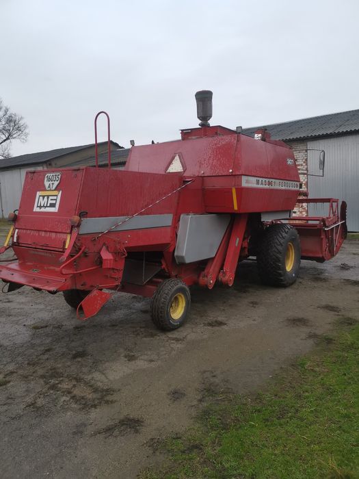 Масей Фергюсон 307