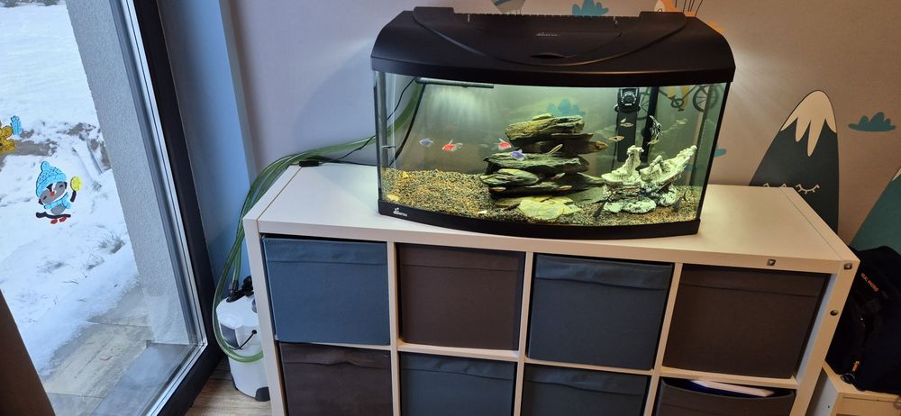 Zestaw akwarium 112l z rybkami i osprzętem