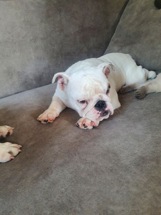 Дівчинка з інвалідністю, 11міс. Позитивна, компанійська.