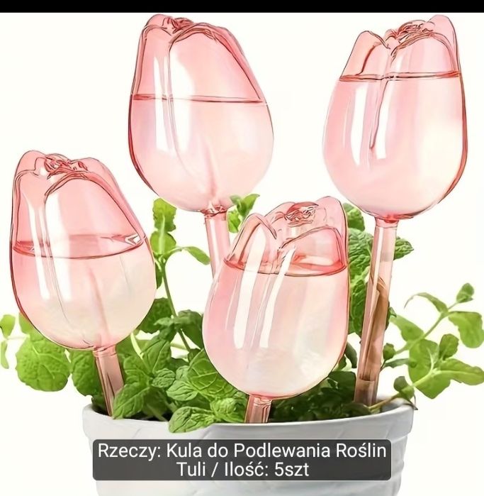 Nawadnianie roślin kształt tulipanu