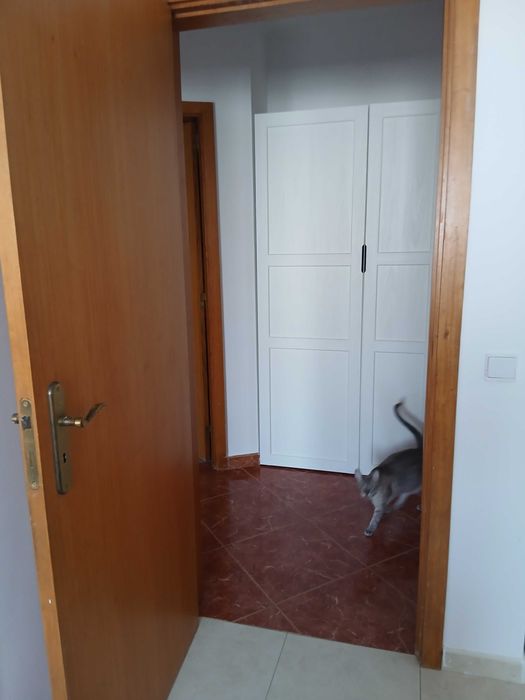 Quarto para arrendar em Monte de Caparica