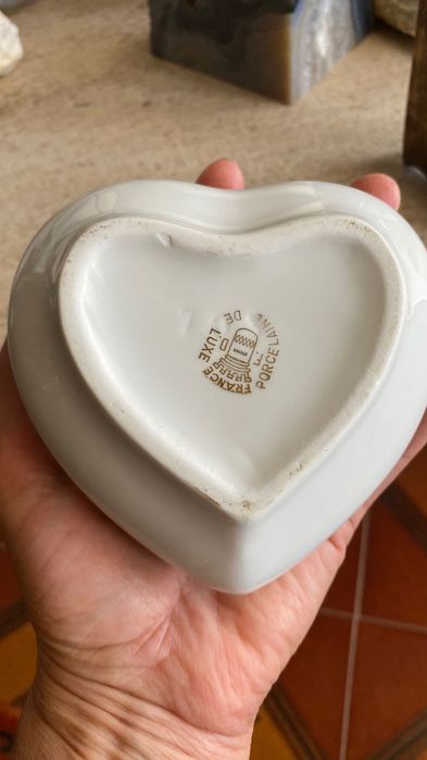 Suculenta em caixa de porcelana