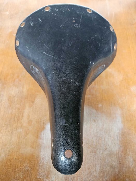 Selim Brooks Champion S