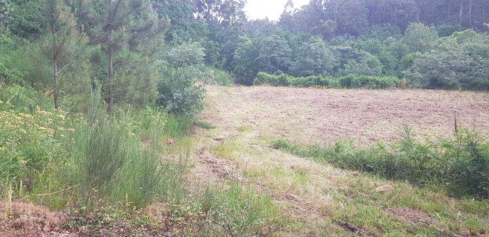 Terreno/6000m2/ Parte dele com licença de construção