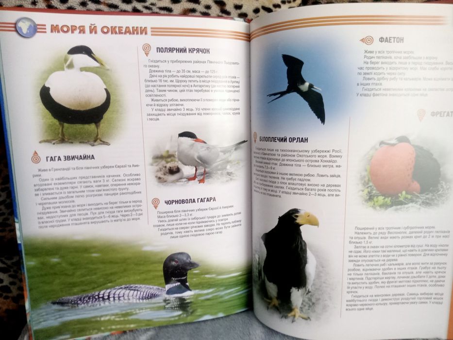 Комплект книг енциклопедій для дітей