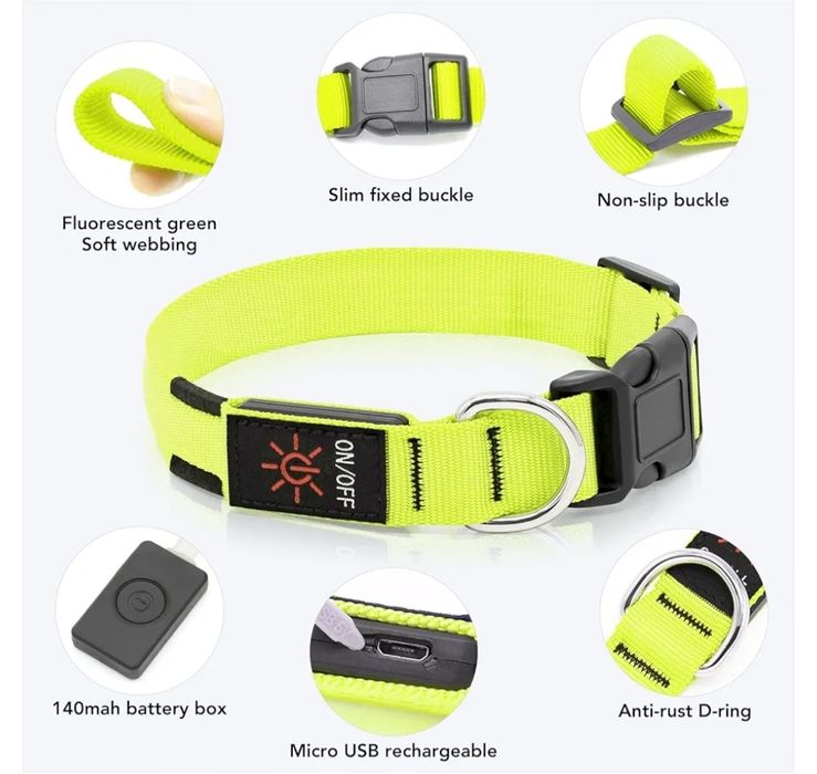 Świecąca obroża dla psa w nocy, regulowana Led