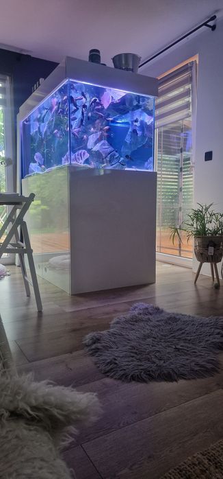 水槽 BIGBIG 飼育用品・器具】【セット水槽】GEX スリムアクアセット 400(淡水