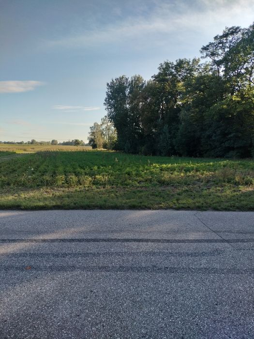 2 Działki Wola Łuszczewska piękna zielona okolica - Widok 2