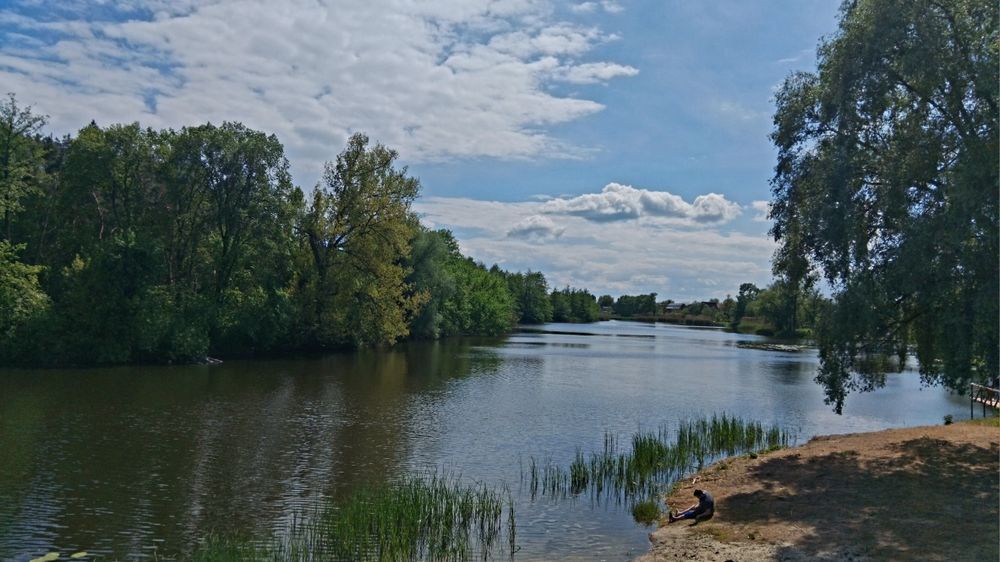 Будинок подобово Миргород