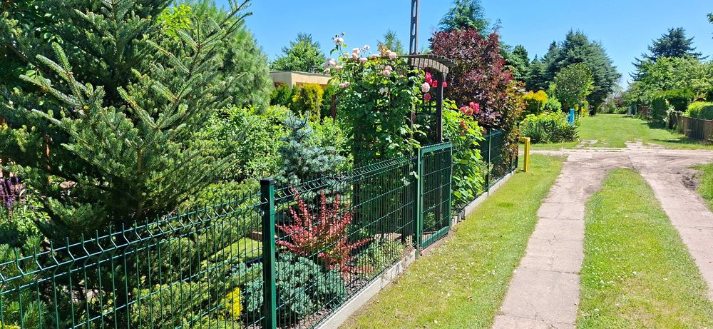 Domek na działce  ROD  Poznań Sypniewo