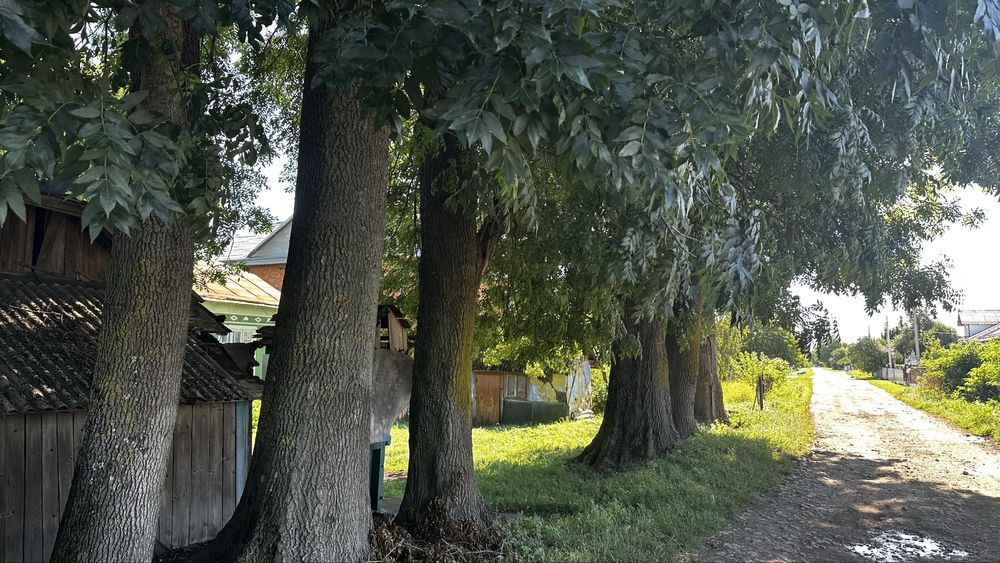 Продається земельна ділянка ,продається будинок