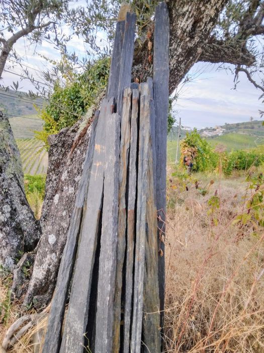 pedras de xisto para vinha, jardim