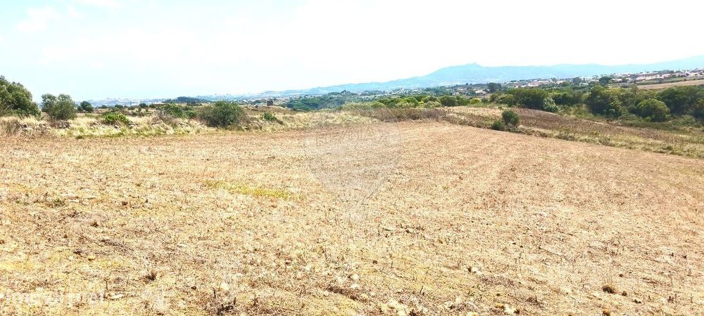 Terreno  para venda — São João Das Lampas E Terrugem, Lisboa