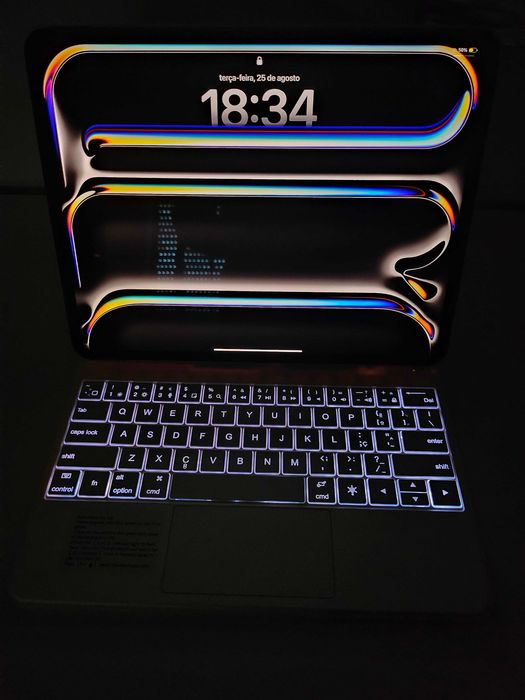 iPad Pro 13"  512 GB