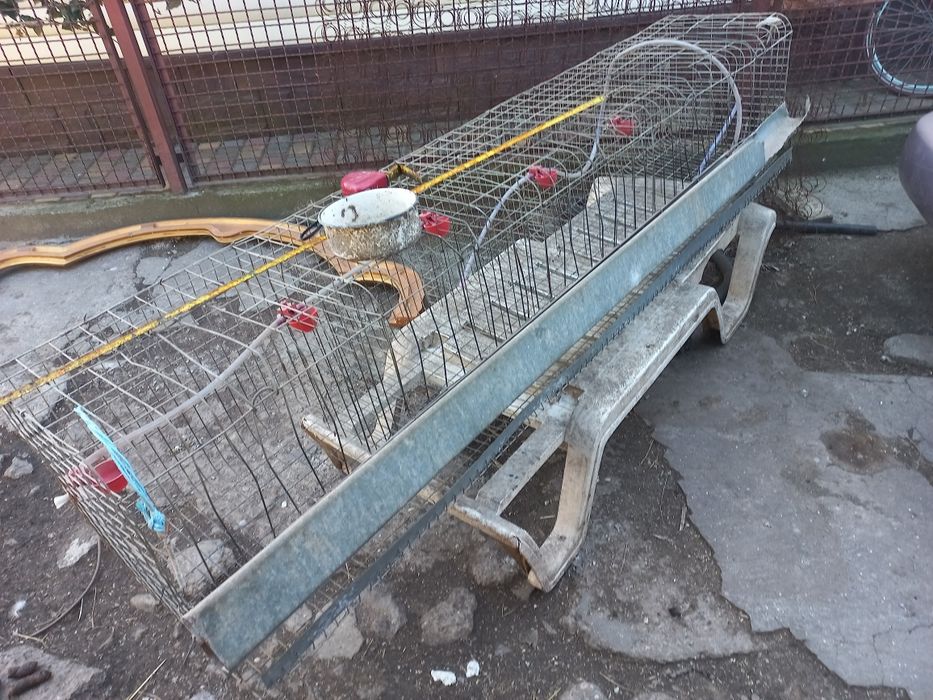 Продам клеткудля курей несушек